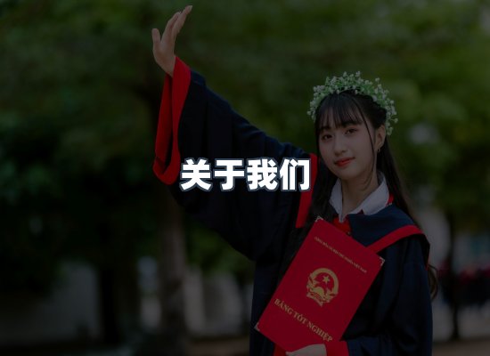 专业团队